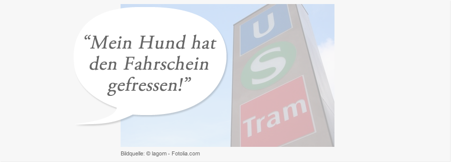 Bild Mein Hund hat den Fahrschein gefressen