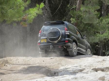 Bild Toyota Jeep