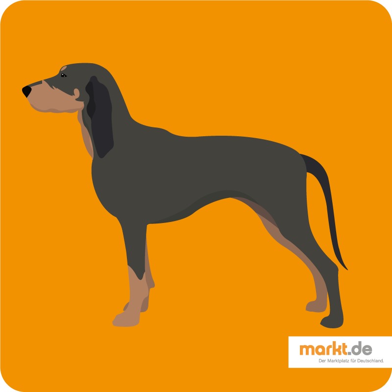 Black and Tan Coonhound - die Hunderasse im Portrait Bild Black and Tan Coonhound
