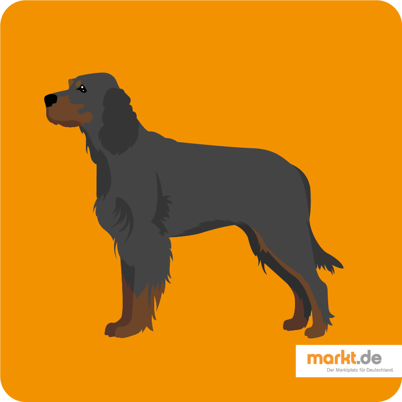 Gordon Setter