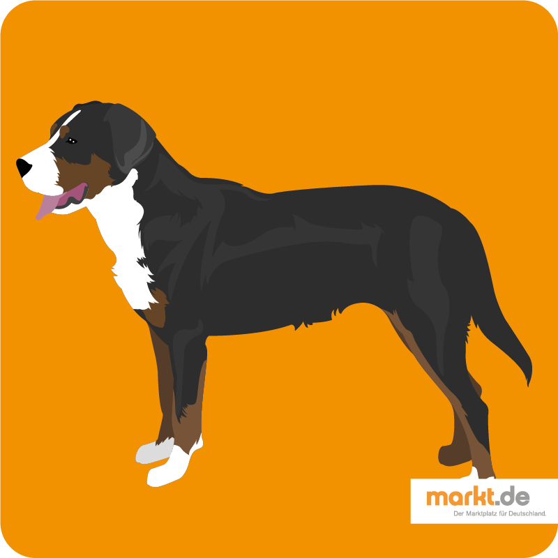 Großer Schweizer Sennenhund