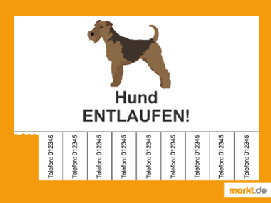 Suchflyer Hund entlaufen