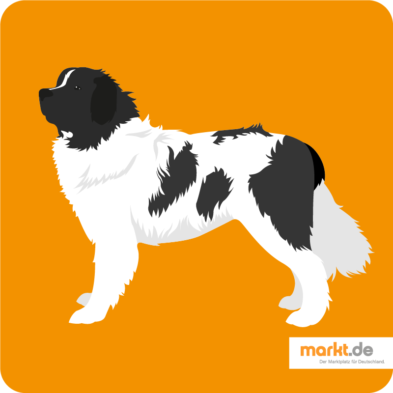 Landseer