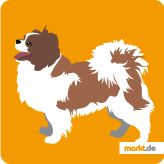 Tibet Spaniel
