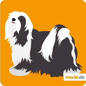 Tibet-Terrier