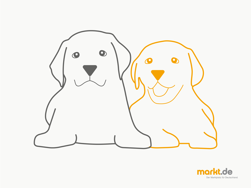 Hundewelpen Bild Welpen