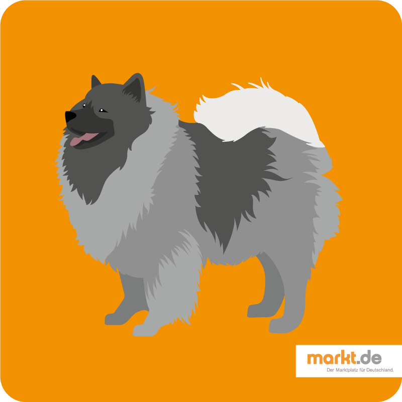 Wolfsspitz