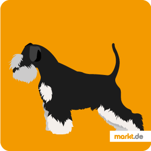 Zwergschnauzer