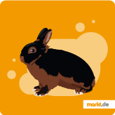 Grafik Lohkaninchen