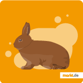 Grafik Neuseeländer Kaninchen