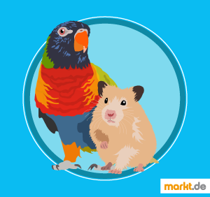 Nagetiere und Ziervögel vertragen sich nicht Bild Ziervogel und Hamster